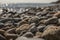 Llanbedrog, North Wales, the UK - the pebble beach.