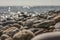 Llanbedrog, North Wales, the UK - the stones on the beach.