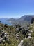 Llandudno Ravine Hike Cape Town South Africa