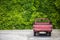 LLandudno, Wales, UK - MAY 27, 2018 Enormous wall adorned with green vine crawling leaves. An old red truck was parked facing the