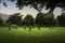 Llanrwst Modern Eisteddfod Stone Circle