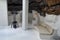 LLanzarote, Spain- January 31,2019 : View of the beautiful halls sculpted in volcanic stone in the Cesar Manrique foundation