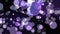 lLght purple bubble divine dimension bokeh blur absract dark screen background