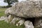 Lligwy burial chamber | The cockroach monument