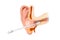 llustration of the ear canal being cleaned with a cotton swab. Section of the ear with the cerumen. Removing earwax and