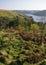 Llyn Brianne reservoir