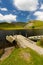 Llyn y Dywarchen Reservoir with two rowing boats by jetty, Snowdonia.