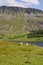 Llynnau Cregennen