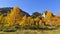 LMountain panorama, with yellow larch and blue sky in October