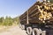 Load of logs on logging truck