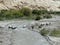 Loaded mules crossing a river in the Markha Valley in Ladakh, India.