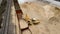 The loader loads the sawdust in the woodworking factory aerial view