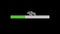 Loading bar light green 100%