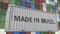 Loading container with MADE IN BRAZIL caption. Brazilian import or export related 3D rendering