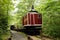 The loading crane for a logging train