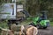 Loading felled and cut tree onto a truck.