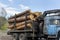 Loading heavy industrial truck trailer with big timber pine, spruce, cedar logs by crane grab loader tractor machine