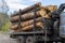 Loading heavy industrial truck trailer with big timber pine, spruce, cedar logs by crane grab loader tractor machine