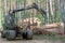 Loading logs on a truck trailer using a tractor loader with a grab crane. Transportation of coniferous logs to the sawmill.