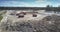 Loading tip trucks with sand by digger at quarry aerial view