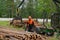 Loading - unloading logs. Forester stacks logs for construction. Finnish Lapland