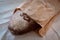 loaf bread in brown craft recycling paper bag on rustic cloth at home