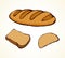 Loaf of long bread. Vector drawing