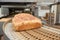 Loafs of bread in the factory