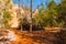 Loamy footpath and wall of Providence Canyon with trees, USA