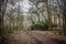 Loan, adult woman seen walking along a slippery footpath at the edge of a forest.