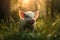 Loan Piglet walking in the sun drenched woodlands. - Generative AI art