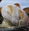 loaves of bread from the bakery in the store. Basket wicker with pastries.