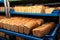 Loaves of bread on blue plastic trays