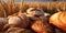 Loaves of fresh wheat bread on wheat field background.Macro.AI Generative