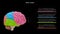 Lobes of Human brain or 4 lobes of brain