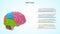 Lobes of Human brain or 4 lobes of brain