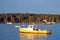 Lobster boats at dawn