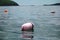 Lobster buoy near shore in State of Maine