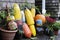 Lobster Buoys in a Rustic Fall Setting