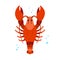 Lobster character. Stylized red crayfish with large claws. Cartoon hand drawn illustration of cute ocean animal. Childish t shirt