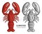 Lobster engraving vector illustration. Hand drawn crustacean in a vintage style