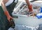 Lobster fisherman reaching into water filled bin of live lobster