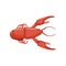 Lobster, fresh seafood cartoon vector Illustration