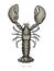 Lobster hand drawing vintage engraving illustration