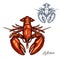 Lobster isolated sketch for seafood design