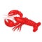 Lobster Isolated on a white background. Vector graphics