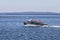 Lobster and seal watch boat with tourist