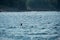 Lobster trap buoy floating on a choppy ocean in the Atlantic Ocean