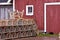 Lobster traps and two kitty cats in front of shed, Prince Edward Island, Canada