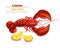 Lobster Vector realistic isolated. Fresh Detailed seafood 3d illustrations